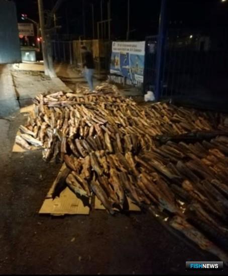 Перевозчику осетра насчитали более 36 миллионов ущерба Перевозчику осетра насчитали более 36 миллионов ущерба