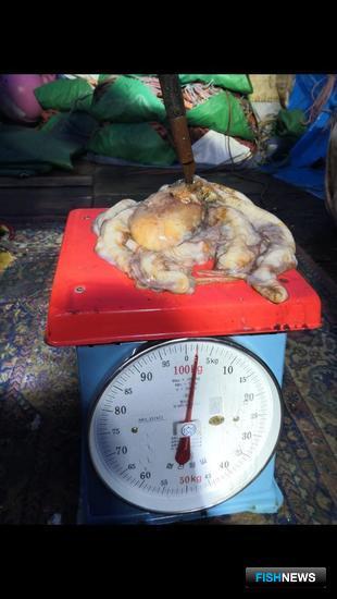 Японские суда задержали на Курилах