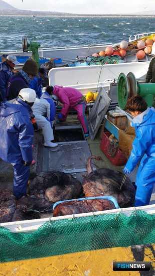 Японские суда задержали на Курилах