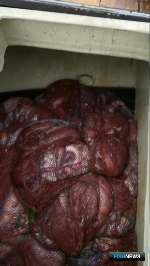 Японские суда задержали на Курилах