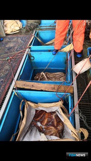 Японские суда задержали на Курилах