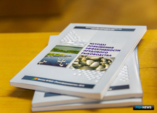 Рыбоводы возьмутся за отраслевую статистику