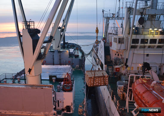 Бизнес подсчитал потери от ограничений на перегрузы в «районах укрытия» Бизнес подсчитал потери от ограничений на перегрузы в «районах укрытия»