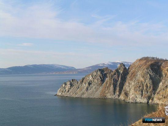 На Колыме вынесли приговор &laquo;лососевой ОПГ&raquo;