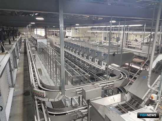 Камчатка лидирует в программе инвестквот