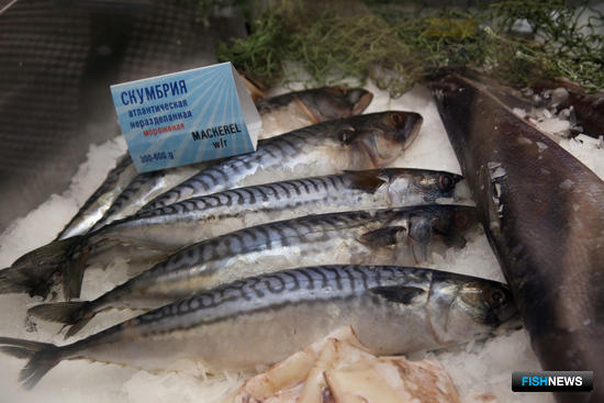 Рыбаки отправятся на промысел в зоны других стран Рыбаки отправятся на промысел в зоны других стран