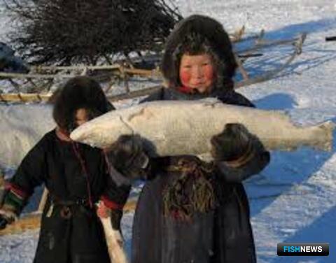 Предприятия Якутии получили квоты на 2020 год