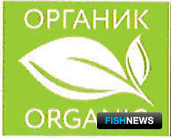 Что меняется в 2020 году?