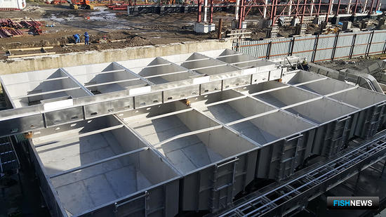 Российские производители оборудования взялись за крабовое направление