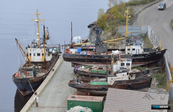 С чем рыбаки начинают новый год С чем рыбаки начинают новый год