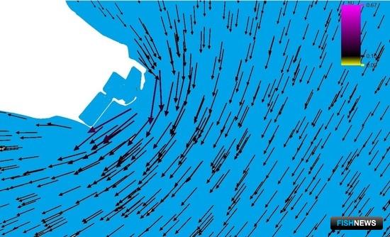 Новая программа поможет не сгубить рыбу стройкой Новая программа поможет не сгубить рыбу стройкой