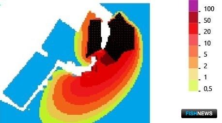 Новая программа поможет не сгубить рыбу стройкой Новая программа поможет не сгубить рыбу стройкой
