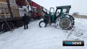 «Беспаспортную» икру не выпустили в Казахстан «Беспаспортную» икру не выпустили в Казахстан