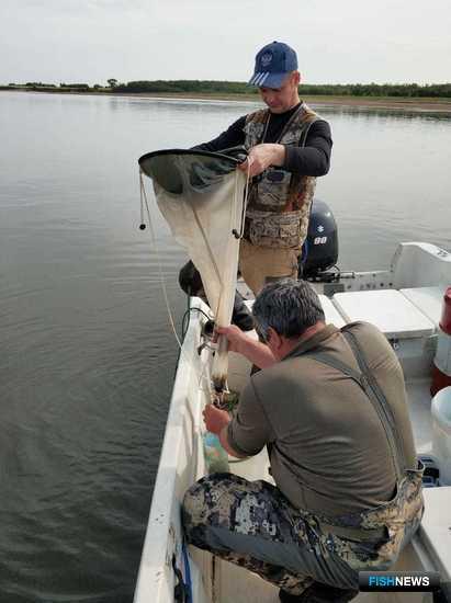Ученые готовятся к Большой Амурской экспедиции Ученые готовятся к Большой Амурской экспедиции