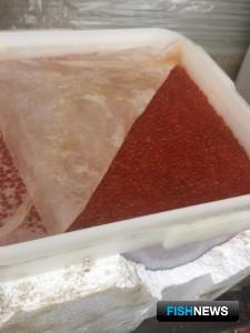 «Беспаспортную» икру не выпустили в Казахстан «Беспаспортную» икру не выпустили в Казахстан