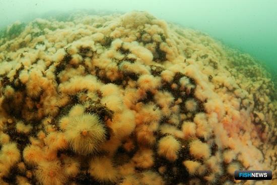 Судьбу уникального озера ученые пророчат океанам