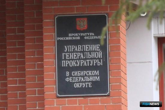 Прокуратура нашла недочеты у сибирской рыбоохраны Прокуратура нашла недочеты у сибирской рыбоохраны
