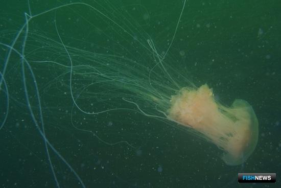 Судьбу уникального озера ученые пророчат океанам