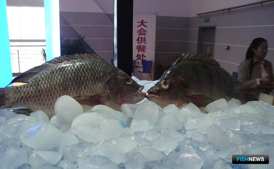 Китай отреагировал на претензии России к рыбе