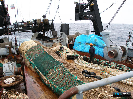 Флот ударно отработал на минтае за праздники Флот ударно отработал на минтае за праздники