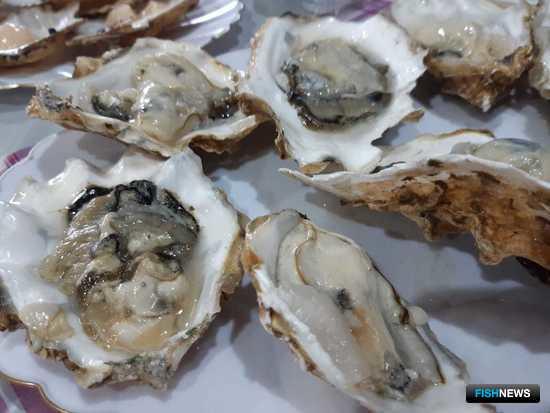 Минсельхоз ответил на вопросы о земле для рыбоводов