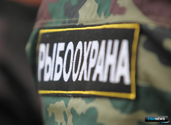 Любители рыбалки не спешат ставить сети на учет Любители рыбалки не спешат ставить сети на учет