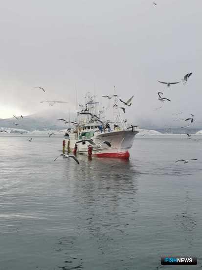 С японского судна-нарушителя сняли арест