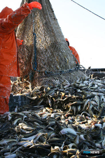 Электронному промжурналу добавили функций по ветсертификации