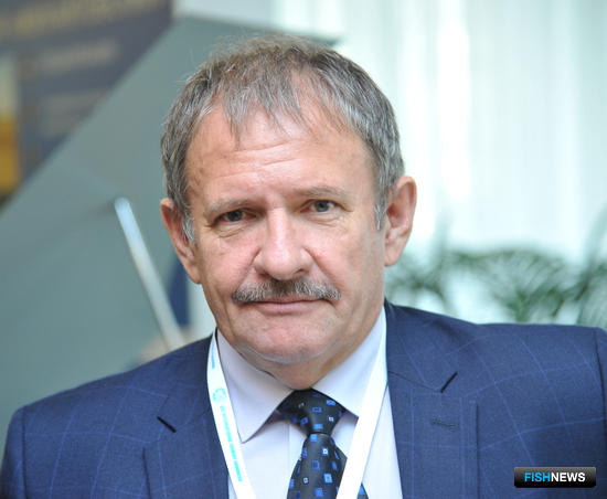 Рыбаки просят ускорить решение &laquo;креветочного вопроса&raquo;