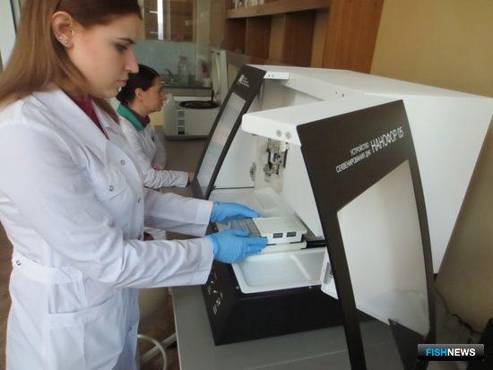 На войну с рыбным фальсификатом призывают генетику На войну с рыбным фальсификатом призывают генетику