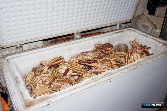 Экспорт браконьерского краба наладили иностранцы