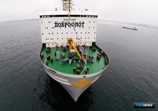 Спасенных с &laquo;Энигмы Астралис&raquo; моряков доставляют на берег