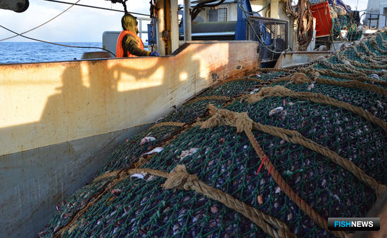 Годовые достижения рыбаков подсчитали Годовые достижения рыбаков подсчитали