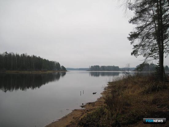 Запретная рыбалка на Туломе дорого обошлась браконьерам Запретная рыбалка на Туломе дорого обошлась браконьерам