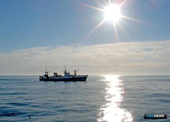 ФСБ перевыпустила правила прохождения контрольных точек