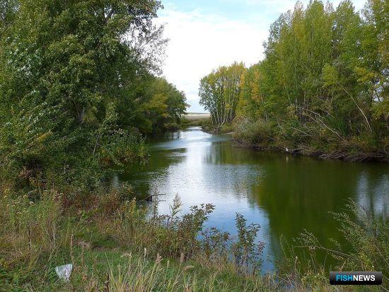 Рыбоводов Челябинской области приглашают за участками