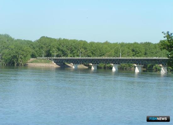 Волго-Ахтубинской пойме хотят добавить воды Волго-Ахтубинской пойме хотят добавить воды