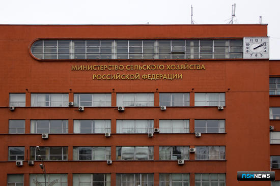 Рыба пока не попала в список на субсидии