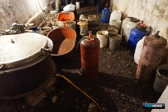 Заготовщику &laquo;военного&raquo; трепанга вынесли приговор