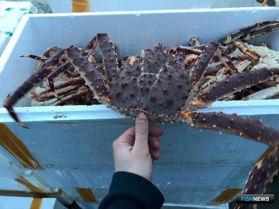 Заготовщику &laquo;военного&raquo; трепанга вынесли приговор