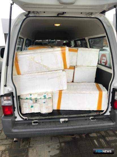 Заготовщику &laquo;военного&raquo; трепанга вынесли приговор