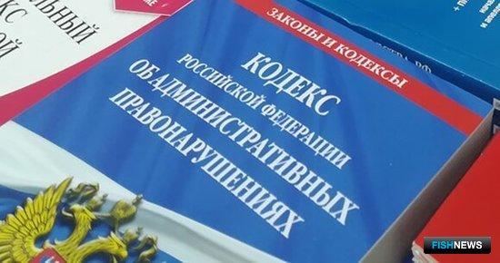 Новый КоАП представили для обсуждения Новый КоАП представили для обсуждения