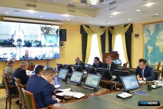 Промысловая обстановка на Западной Камчатке порадовала минтайщиков Промысловая обстановка на Западной Камчатке порадовала минтайщиков