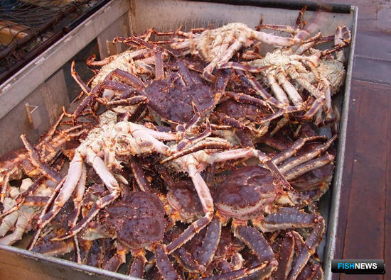 Рыбаки выбирают устойчивость Рыбаки выбирают устойчивость