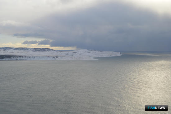 Российских рыбаков предупреждают о японских сетях Российских рыбаков предупреждают о японских сетях