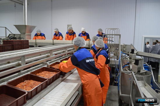 Комиссия по инвестквотам сможет использовать заочный формат