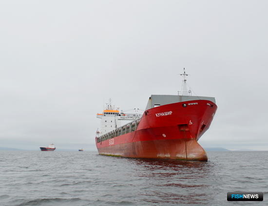 Рыбный промысел хотят «помирить» с судоходством Рыбный промысел хотят «помирить» с судоходством