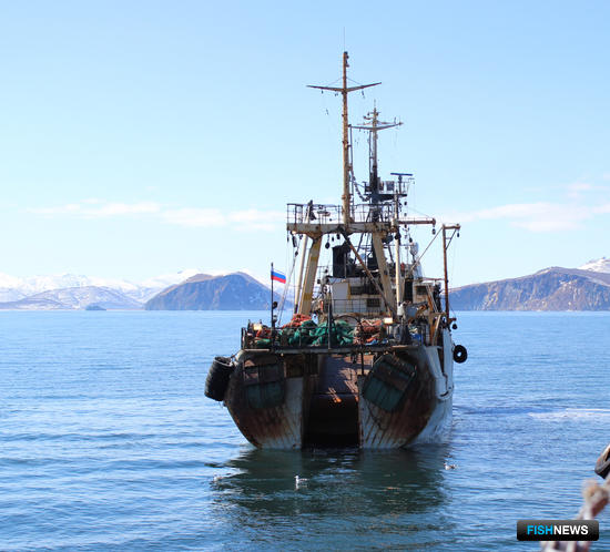 Российский вылов перевалил за полмиллиона тонн Российский вылов перевалил за полмиллиона тонн