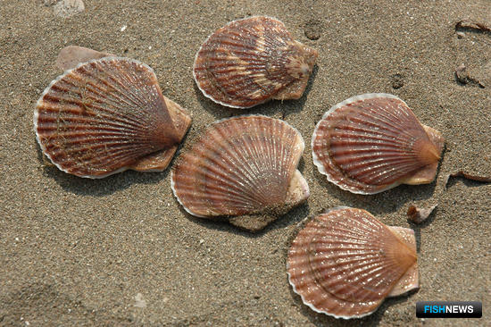 Минвостокразвития отметило успехи &laquo;Аквавостока&raquo;