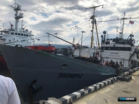 Каспийская килька стала популярнее